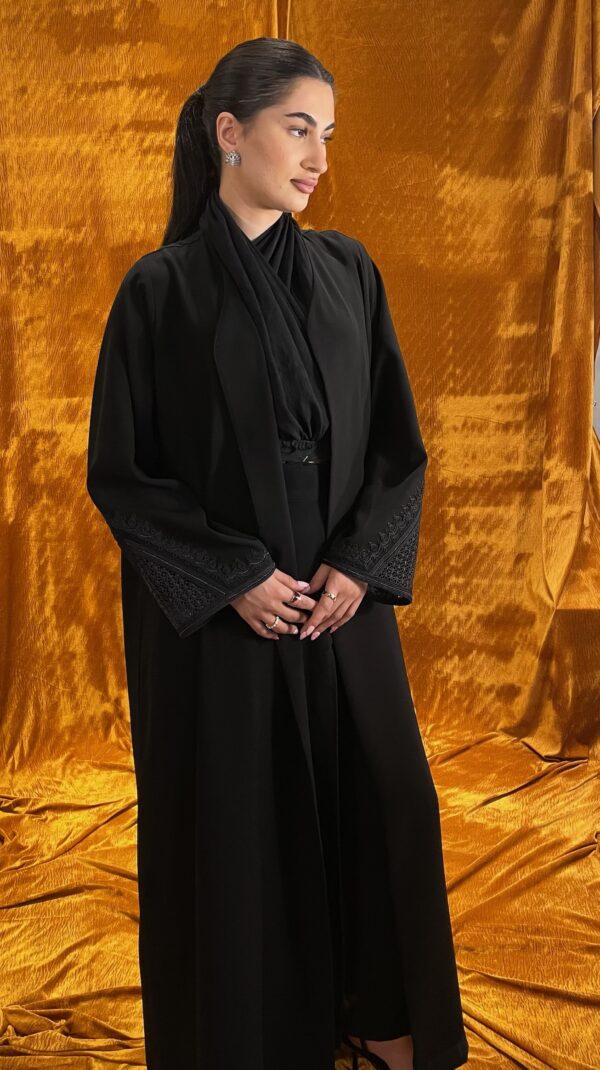 Black Robes Embroidered Abaya